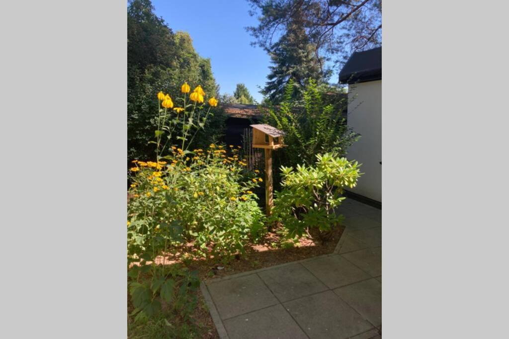 Garden - Welcome To Hébergement de vacances *